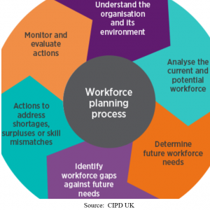 workforce planning process